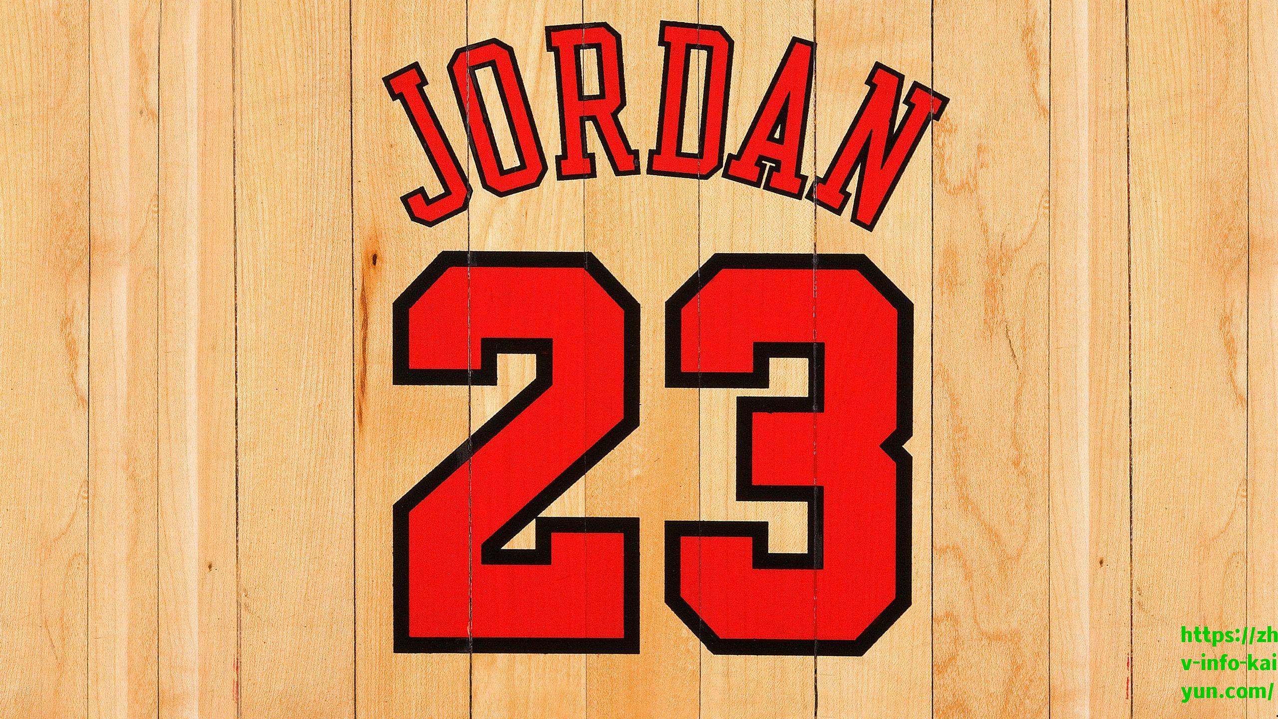 开云体育下载|韦德力挺兰德尔，从嘲讽到重生，森林狼的逆袭之路