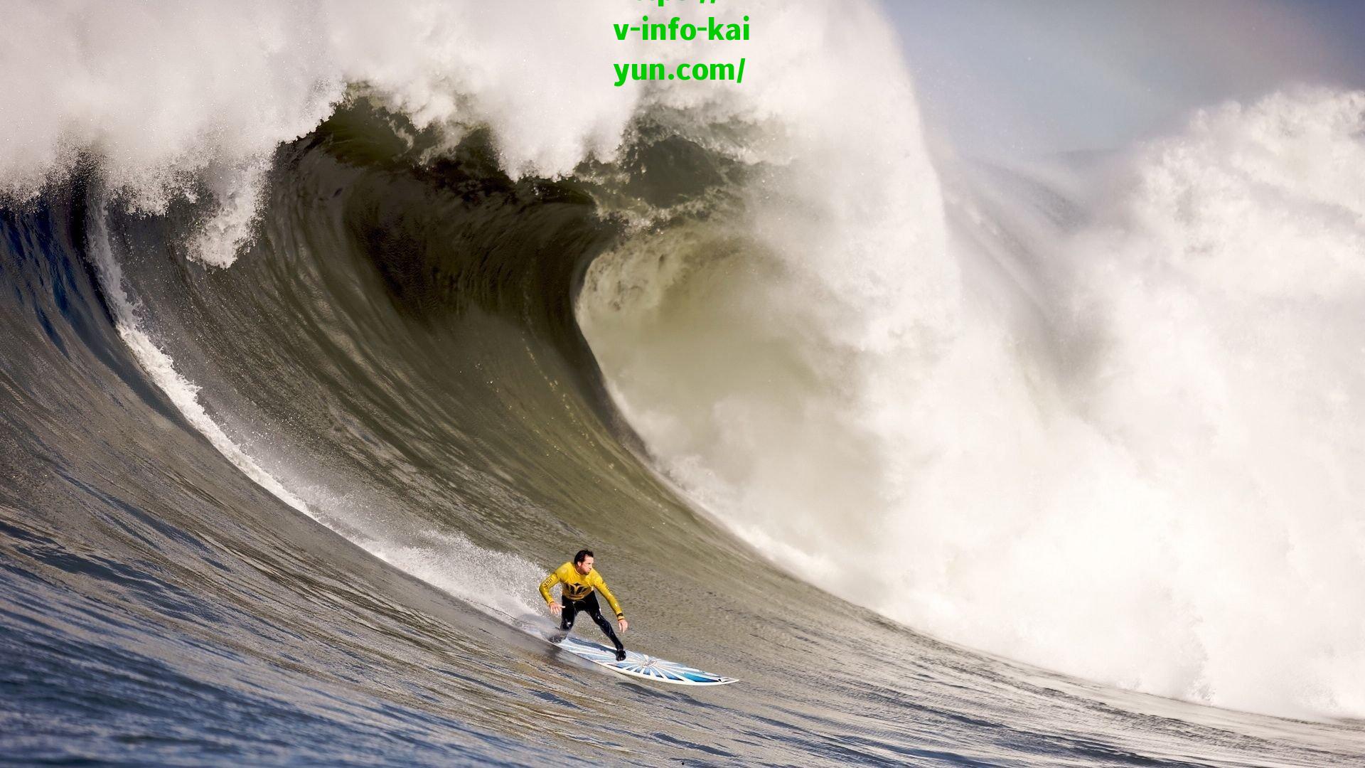 NBL激战，帕斯卡尔狂砍36分，石家庄翔蓝主场力克香港金牛